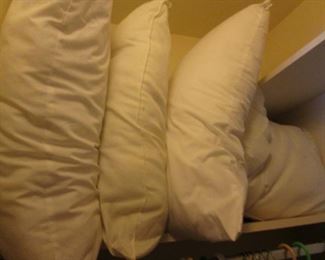 Bed Pillows
