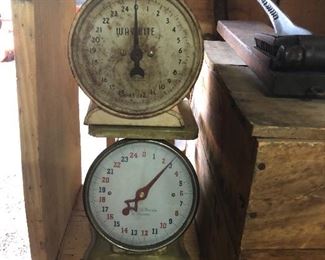 5 Kitchen Scales