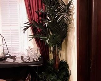 12' potted silk palm