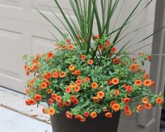 Outdoor pots