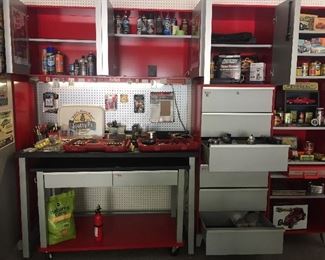 Sauder "Hot Rod" Garage storage