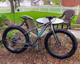 Trek Farley Bike