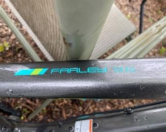 Trek Farley 9.6 Bike