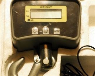 Electronic Crane Scale 500 Lb. Weight Capacity