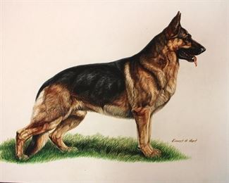 Ernest Hart - German Shepard original watercolor, 16" x 22"