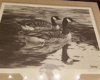 Signed Duck prints