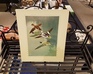 Francis Lee Jaques book