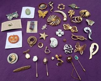 Pins and Brooches
