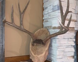 Antlers
