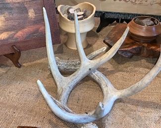 Antlers