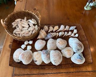 Shells