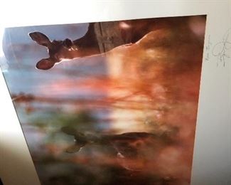 Original Photography