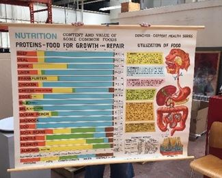 Nutrition Protein Vintage Charts