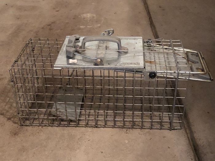 Small live animal trap