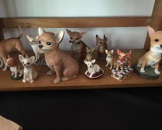 Chihuahua collection