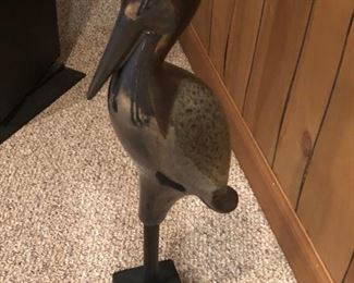 Bird hanging out