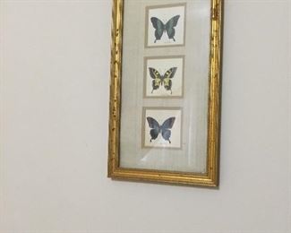Butterfly picture