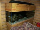 huge lighted aquarium-REMOVED