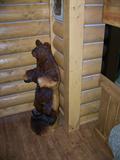 hand carved wooden bear-REMOVED
