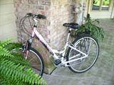 ladies bike-REMOVED