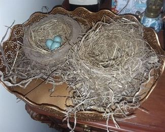 Original Bird Nests