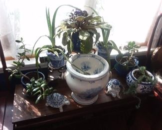 Blue & White Ceramic Pots & Flowers/Plants
