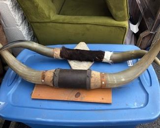 bull horn decor