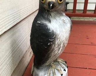 Hawk