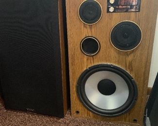 These vintage Acoustic liquid cooled speakers are no joke.  They have some great sound to them.