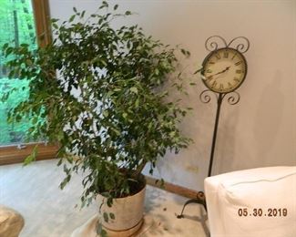 plant/clock