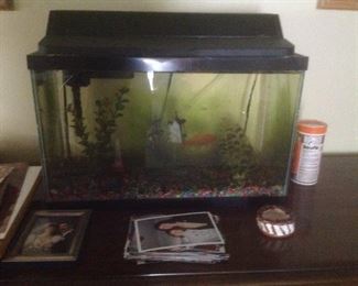 Fish tank and fish!