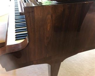 detail of gorgeous veneer on piano