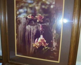 Walt Burch matted/framed 30x25