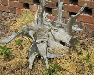 Driftwood