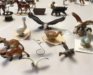 Rare ferrets!  Only $25/each