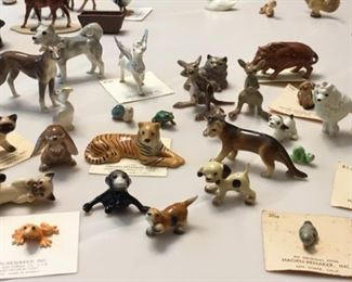 Abyssinian cat has small chip in ear- $15