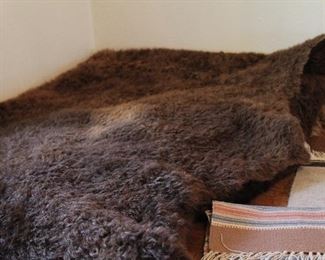 HUGE Buffalo Hide