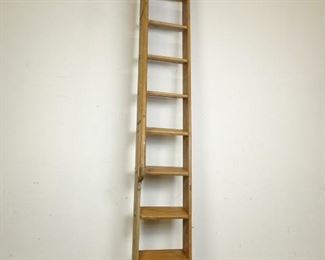 WarehouseLibrary Ladder