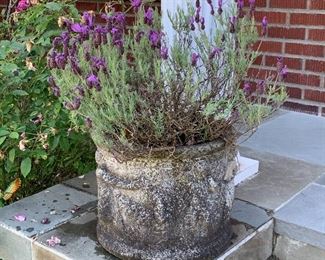 cement pot - ready for your garden