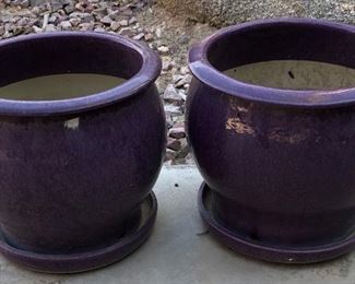 Purple Pots