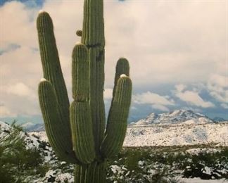 Oversized Canvas Art