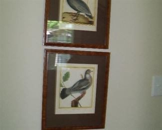 two of many framed prints