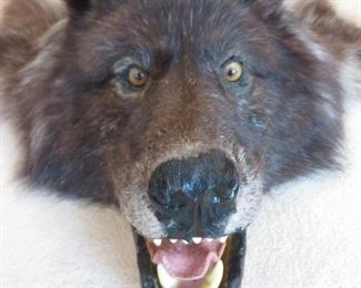  WOLF SKIN RUG (detail)
