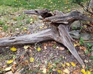 #21	Driftwood (cross shaped)  1 piece  43x44	 $25.00 
