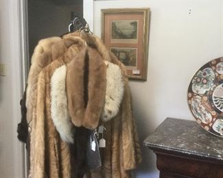 Various furs