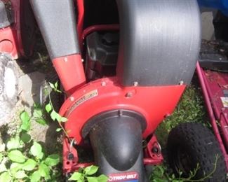 Troy Bilt Chipper Shredder