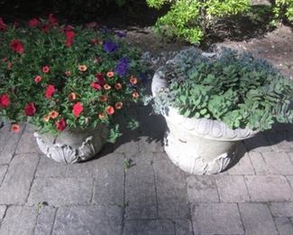 Cement Planters