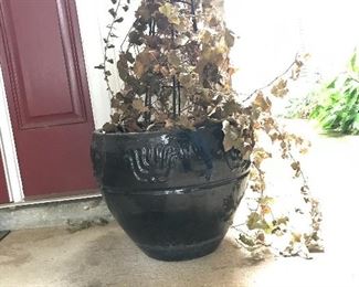 Ceramic planter and plant