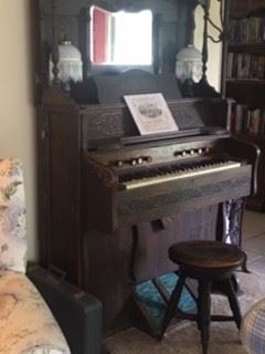 Organ