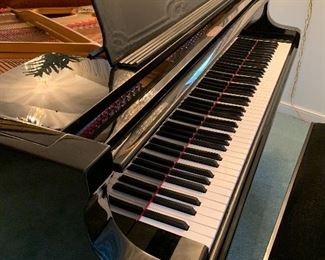 Petrof Baby Grand Piano